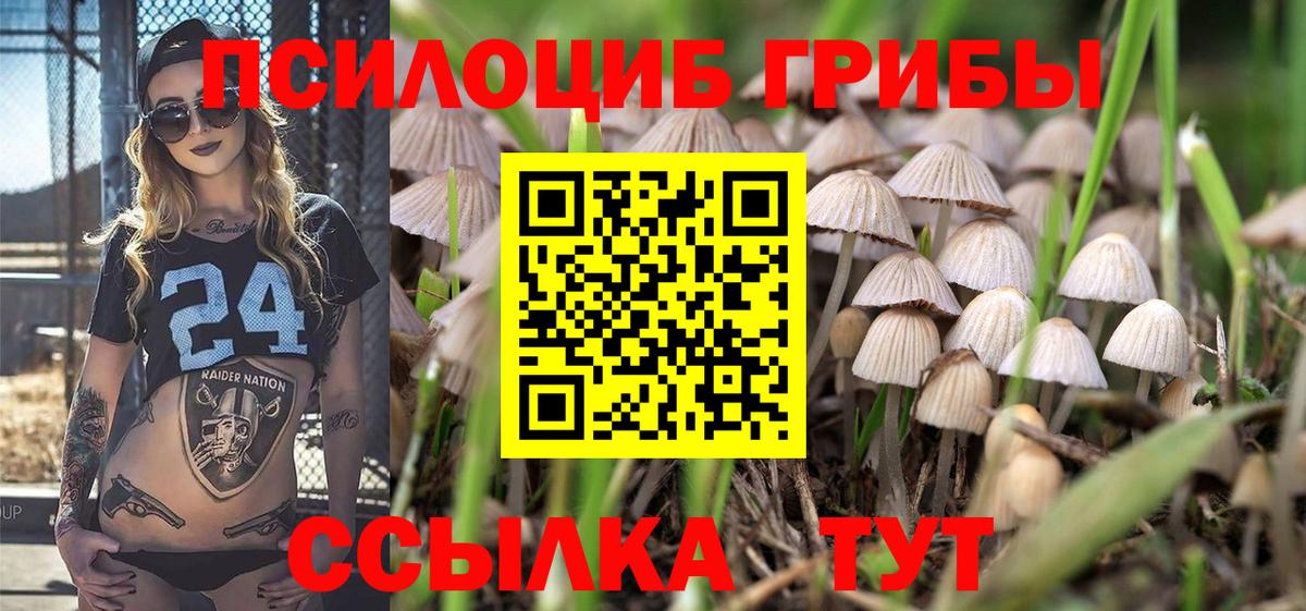 купить  цена  Галлюциногенные грибы GOLDEN TEACHER  Вход с VPN  Галлюциногенные грибы мухоморы  Сыктывкар 
